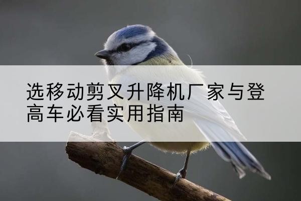 古田电动升降机厂家-选移动剪叉升降机厂家与登高车必看实用指南