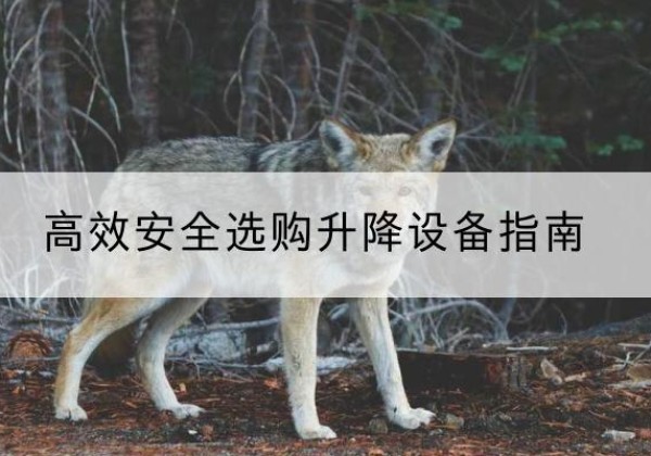 古田升降货梯厂家推荐-*安全选购升降设备指南